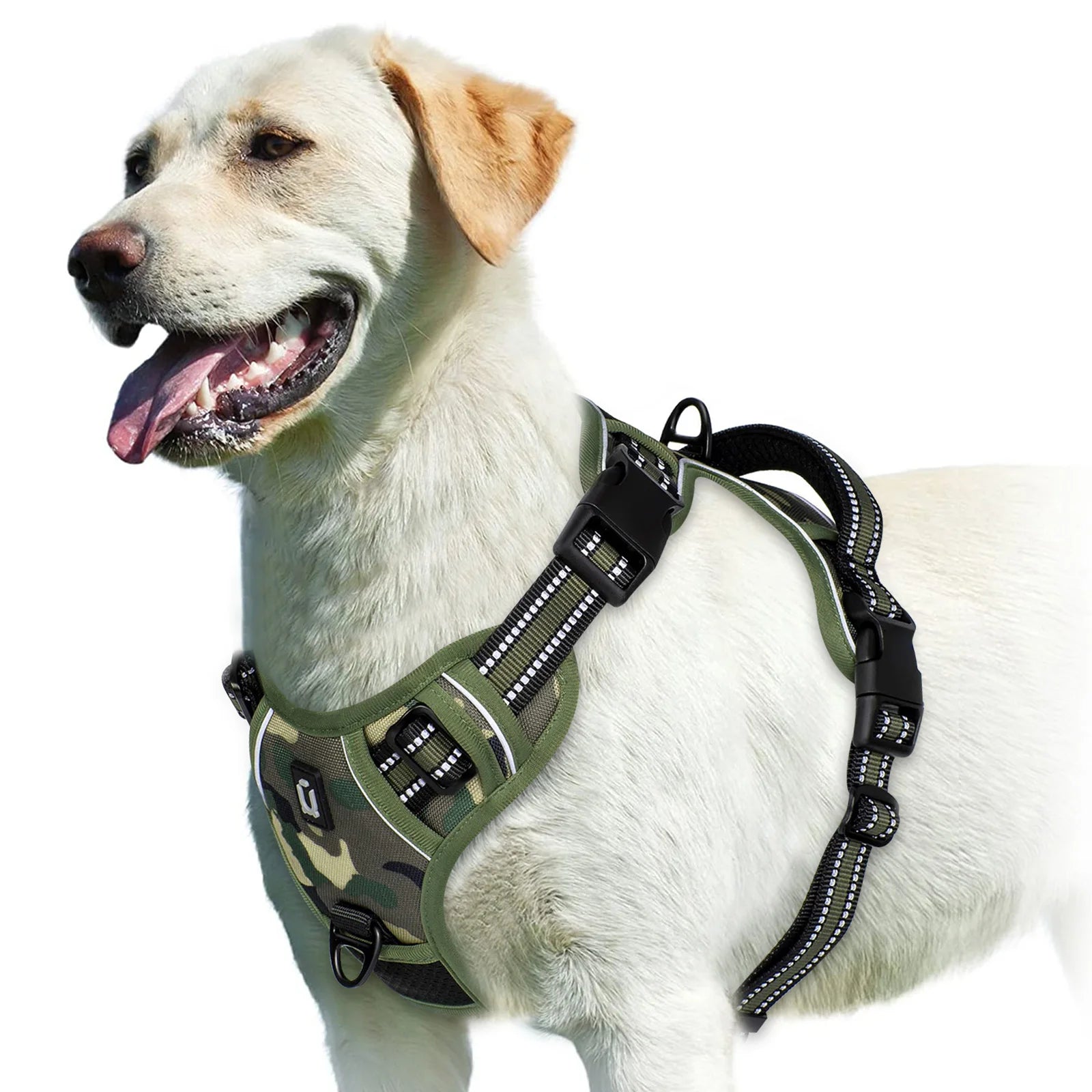 Dog Harness
