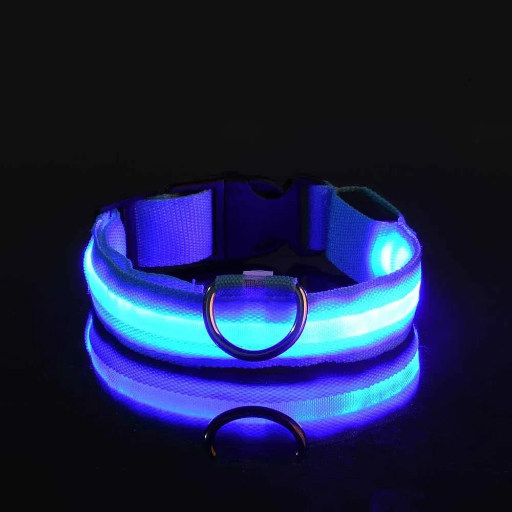 Dog Collar LED