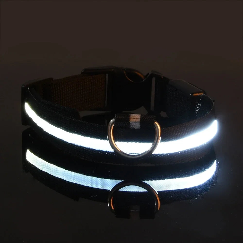 Dog Collar LED