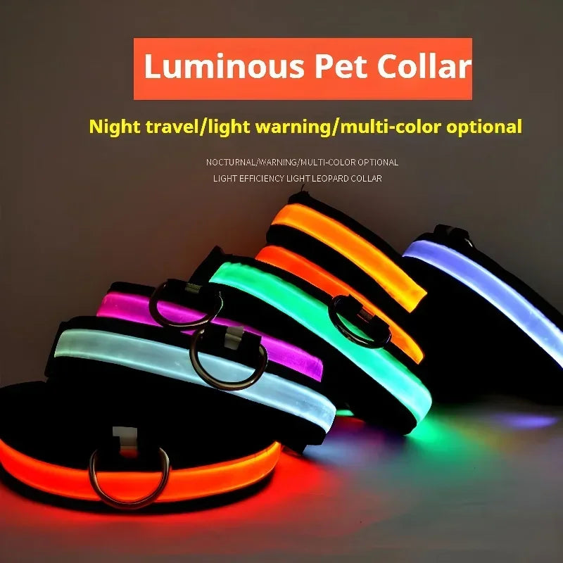 Dog Collar LED