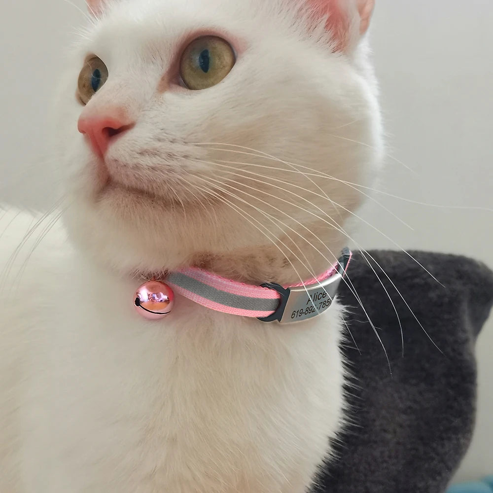 Customized Pet Collar Reflective Collar Free Engraved