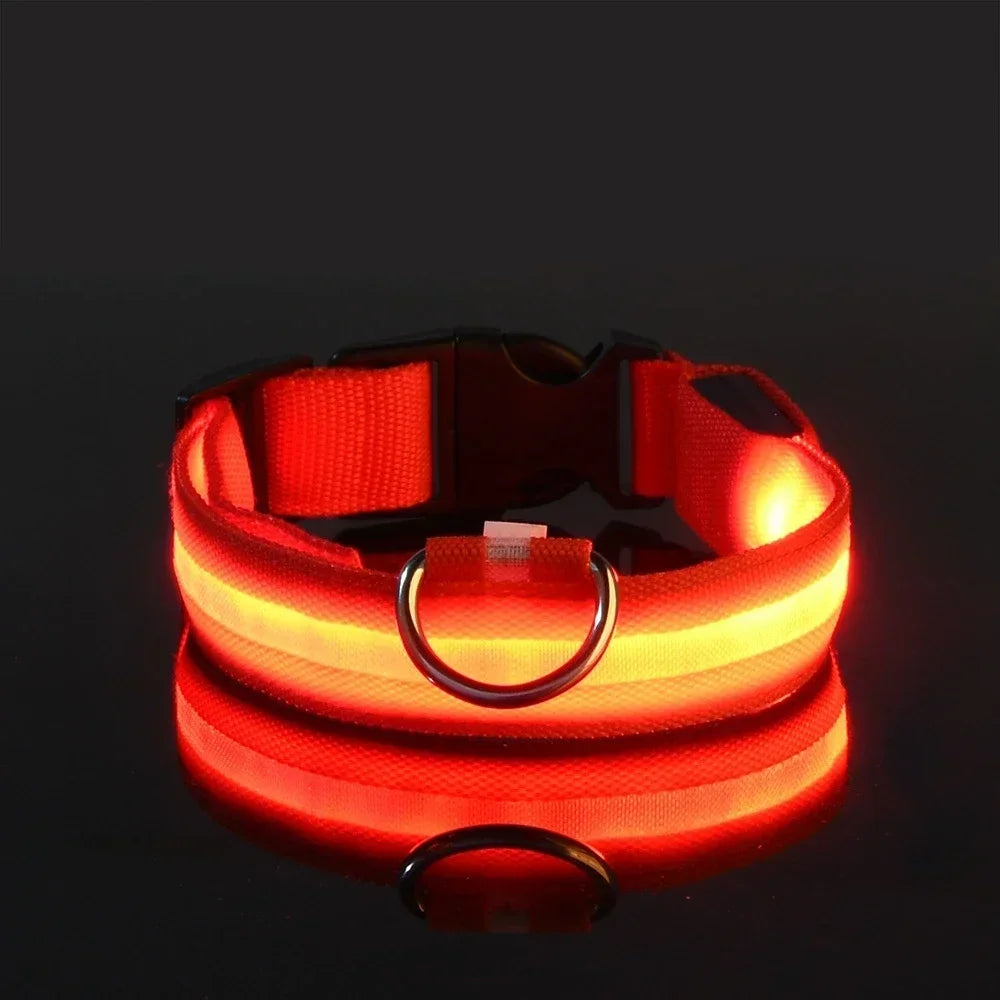 Dog Collar LED