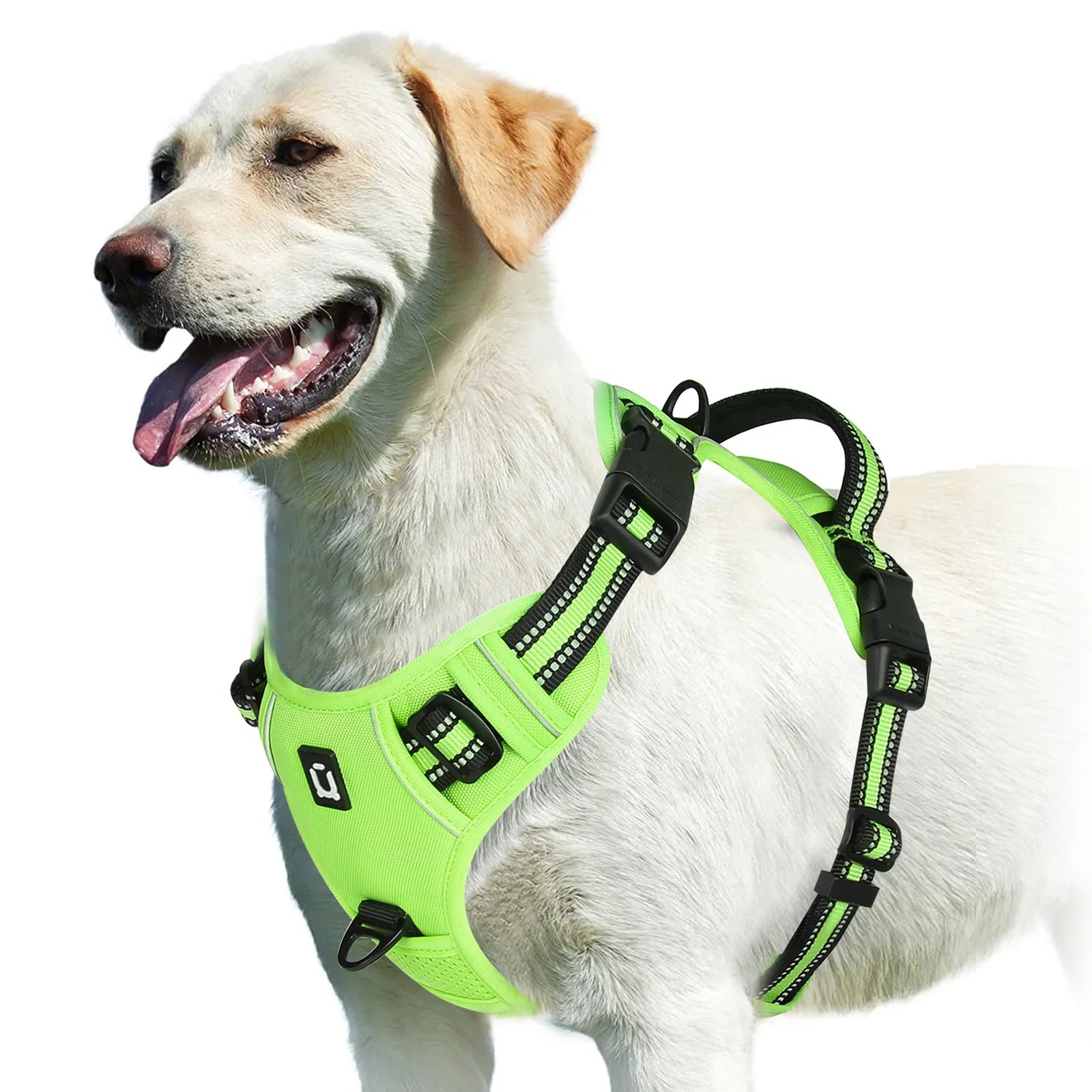 Dog Harness