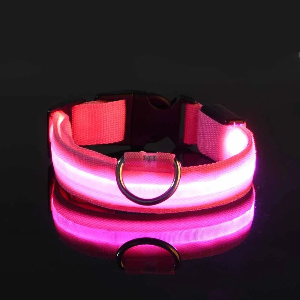 Dog Collar LED