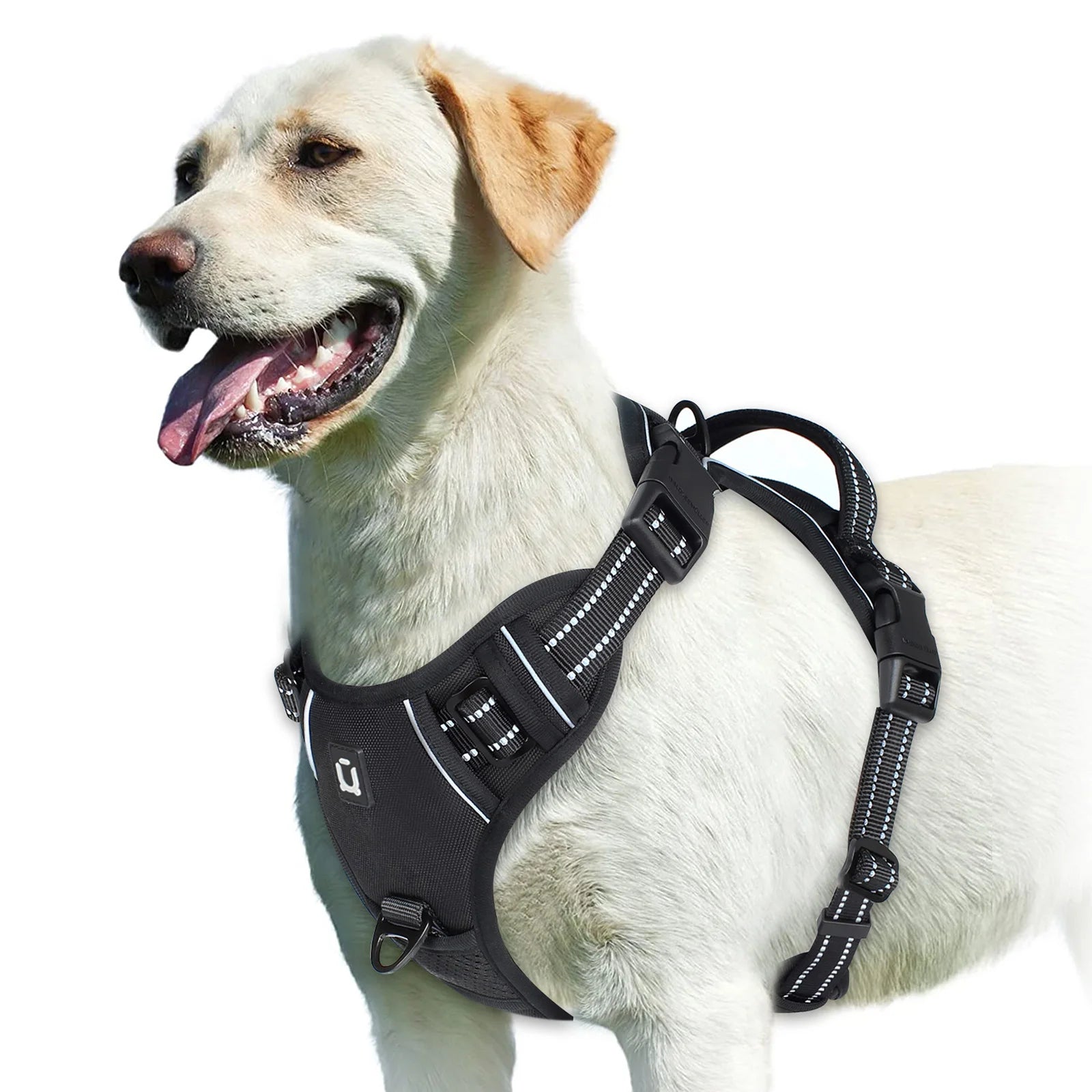 Dog Harness