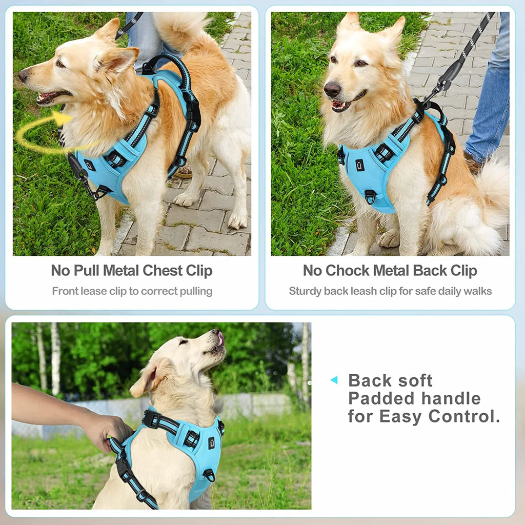 Dog Harness