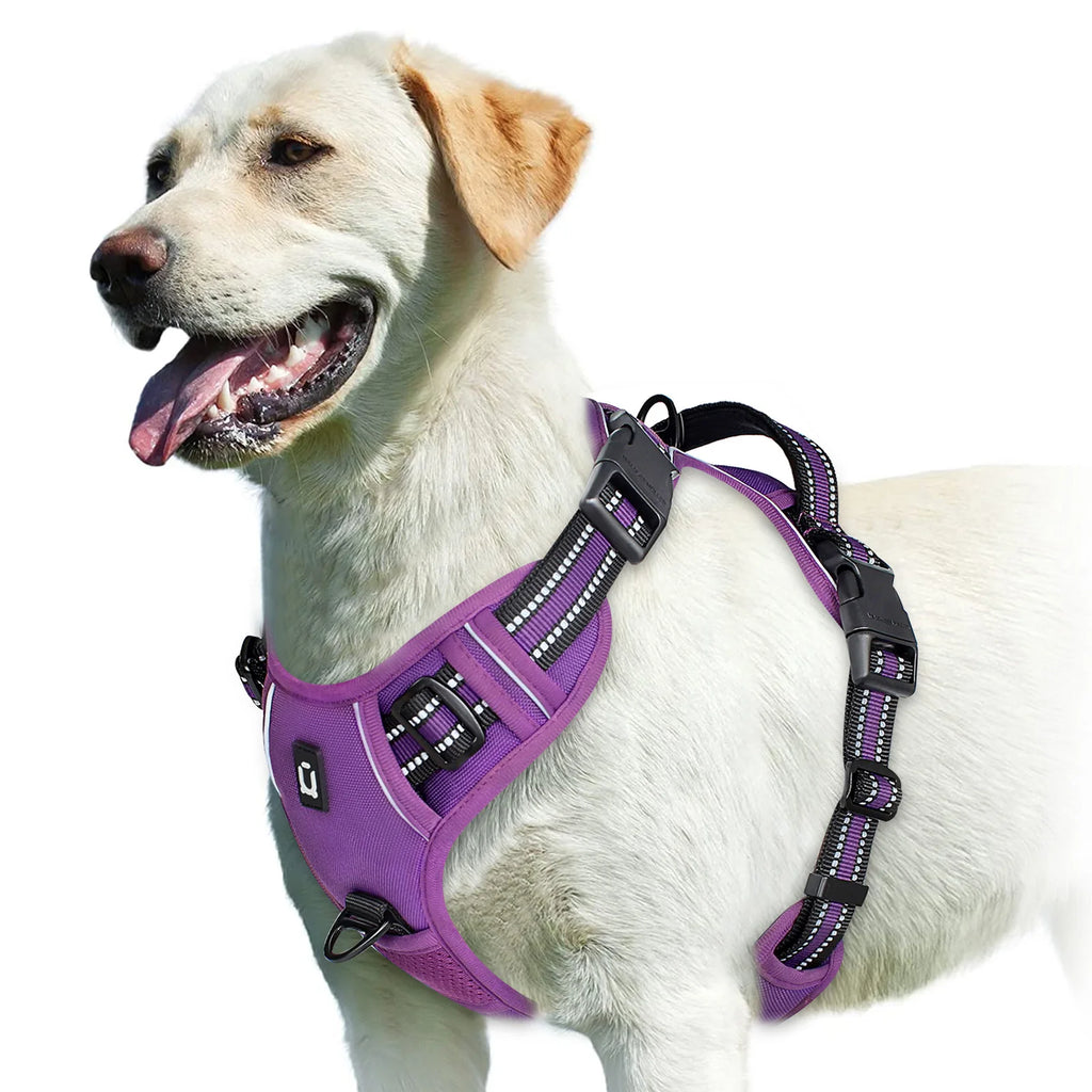 Dog Harness