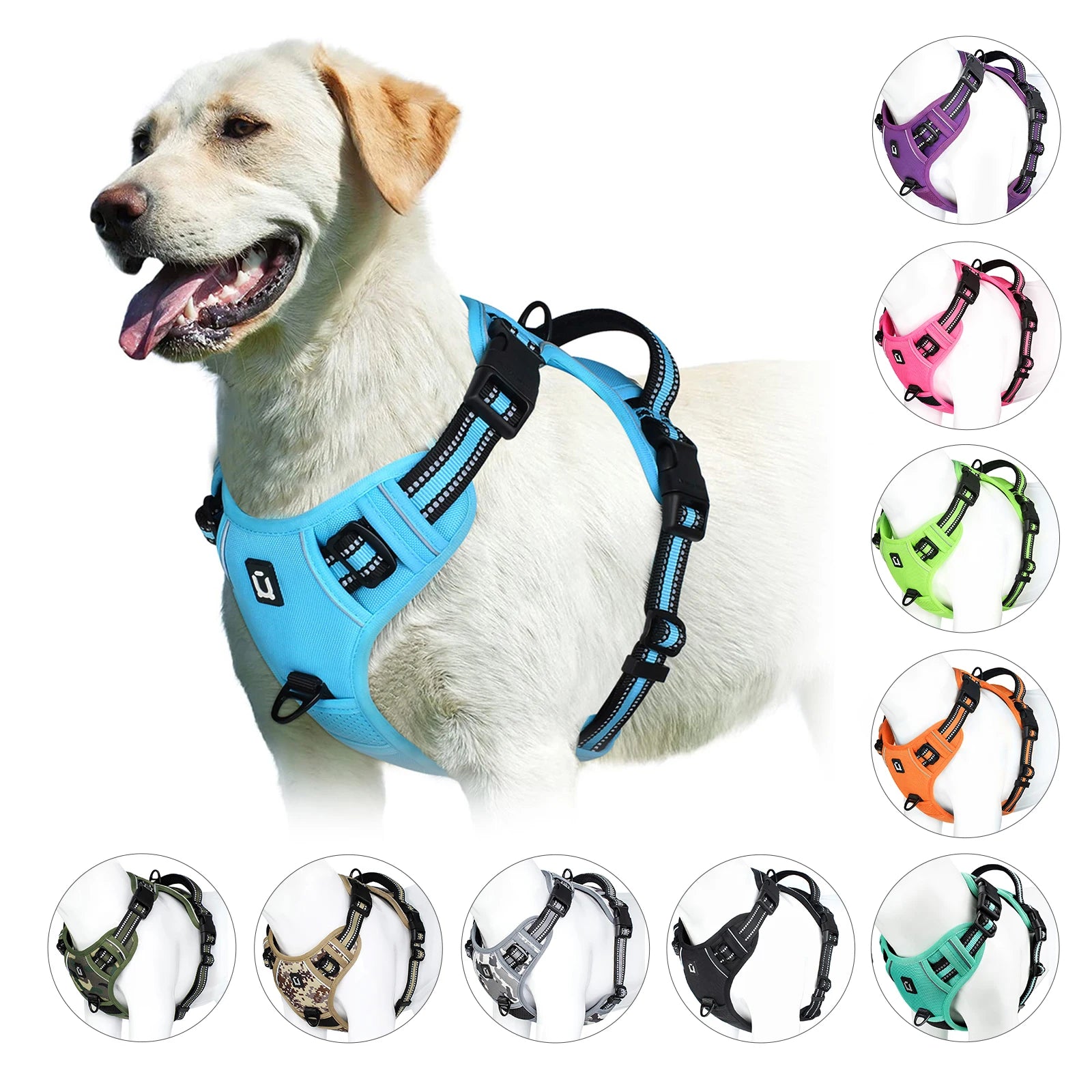 Dog Harness
