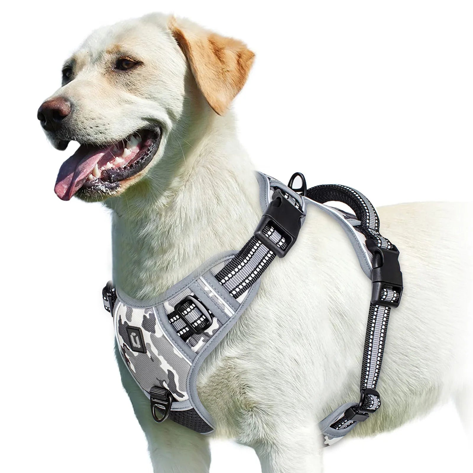 Dog Harness
