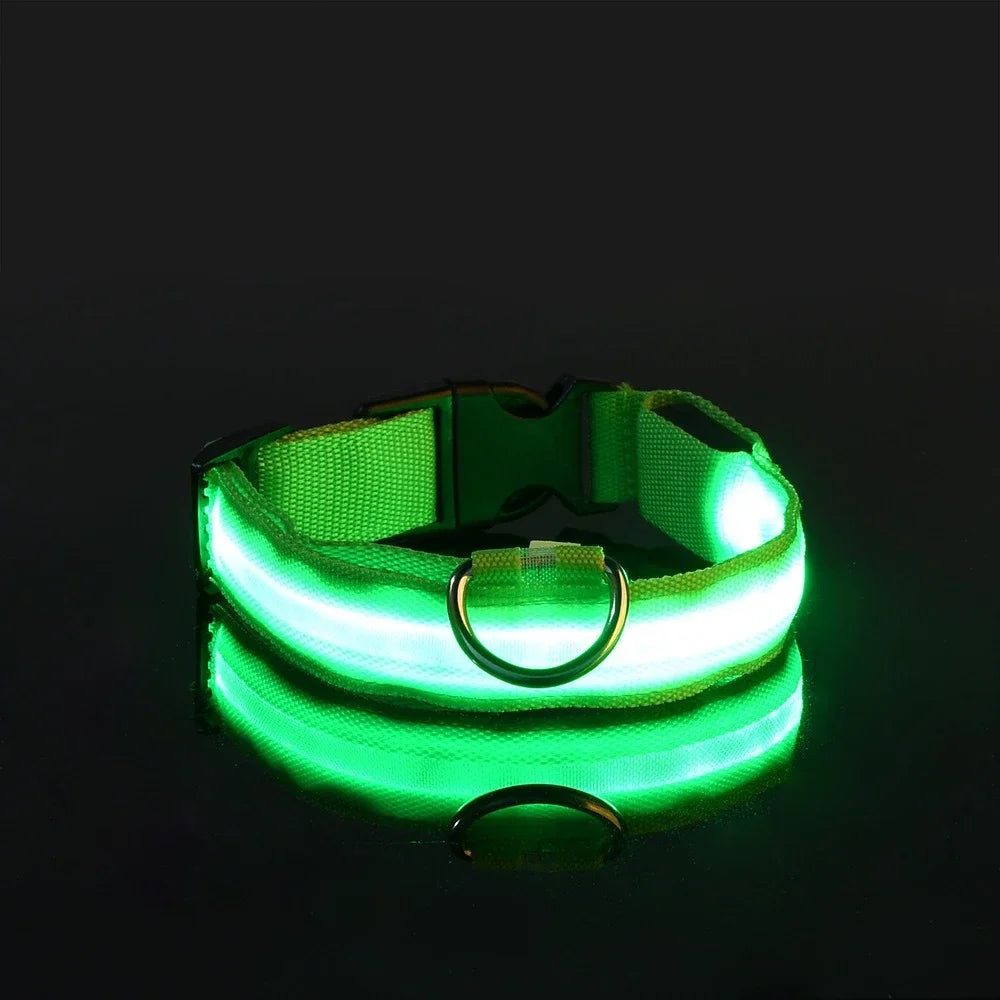 Dog Collar LED